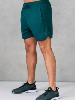 Legacy Mesh Training Shorts
